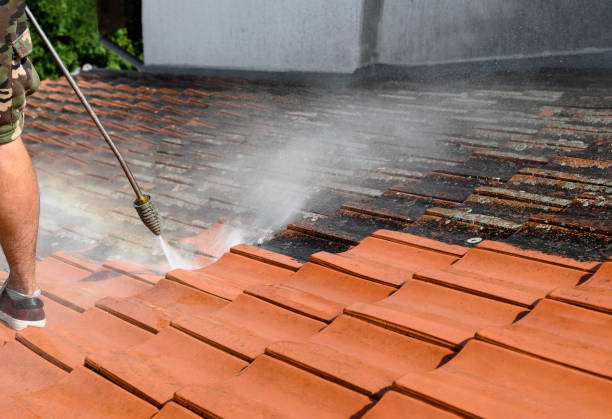 Best Commercial Building Pressure Washing  in Beaverton, MI