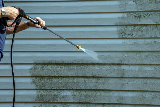 Best Deck Pressure Washing  in Beaverton, MI