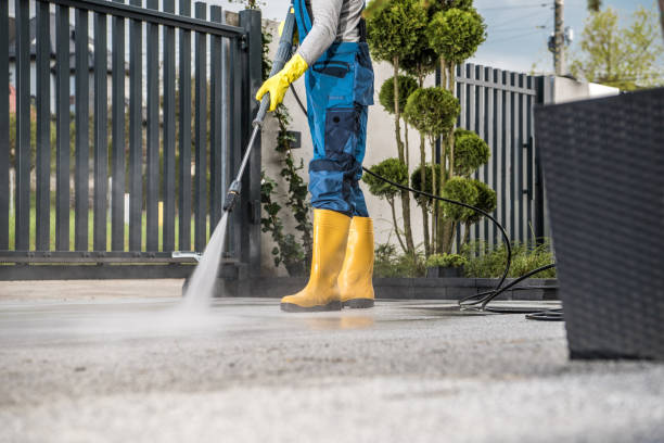 Best Fence Pressure Washing  in Beaverton, MI