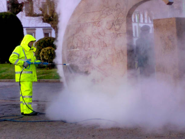 Best Affordable Power Washing  in Beaverton, MI