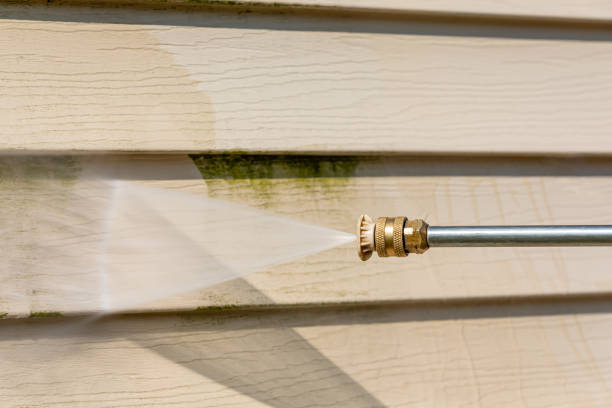 Best Exterior Home Cleaning  in Beaverton, MI